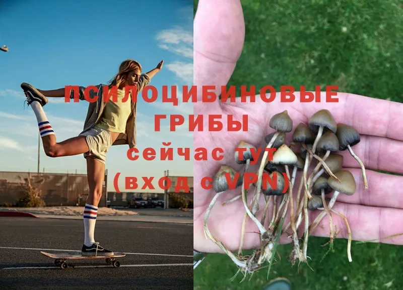 Галлюциногенные грибы Magic Shrooms  Златоуст 