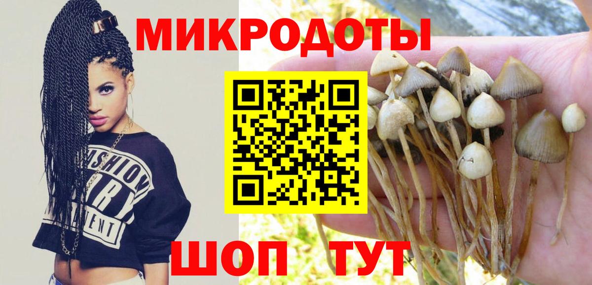 Галлюциногенные грибы прущие грибы Златоуст